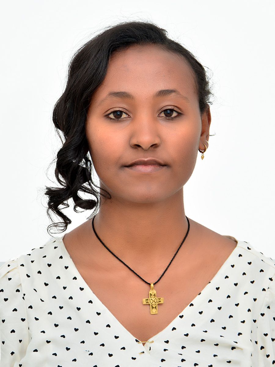 Kidan Mihret - Tender Executive